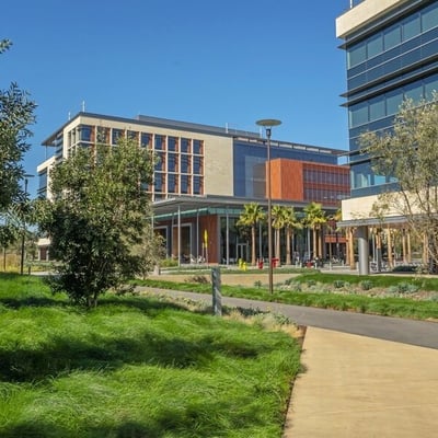 Stanford Cardinal Hall