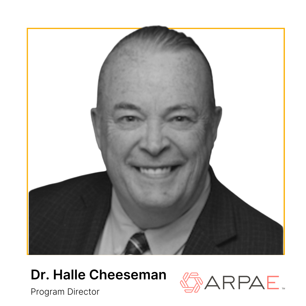 Volta 2026_Halle Cheeseman